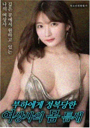码率自适应策略调整记录